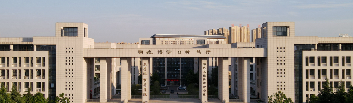 河南科技大学.png