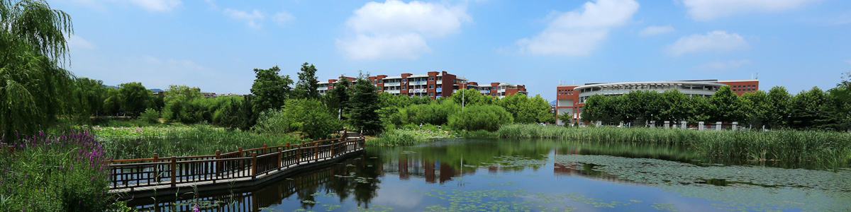 山东科技大学院校.jpg