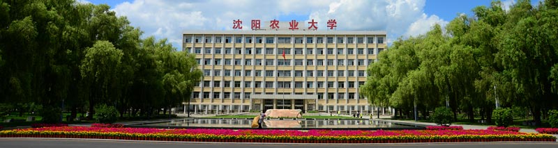 沈阳农业大学-简介，沈阳农业大学图片.jpg