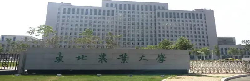 东北农业大学简介，东北农业大学图片.jpg