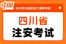 四川省2025年中级注册安全工程师职业资格考试考务工作
